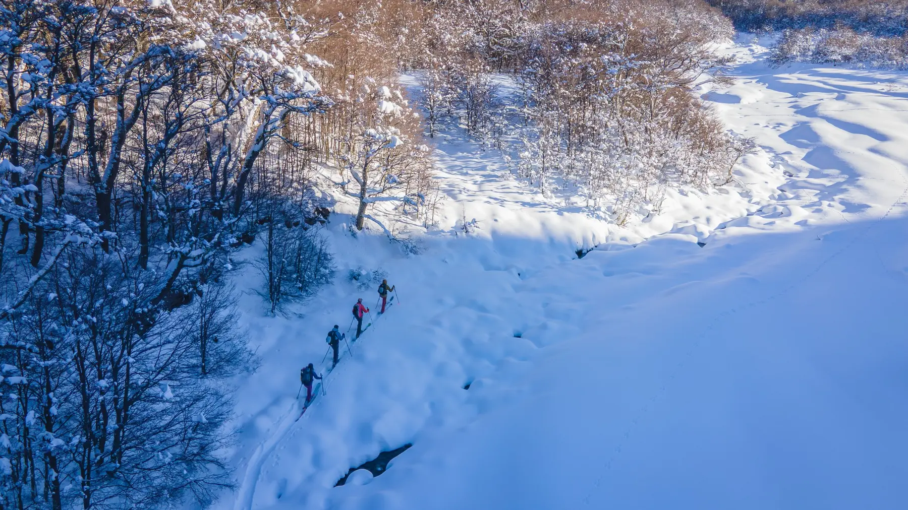 Esquí de montaña entre bosques nevados de la Patagonia