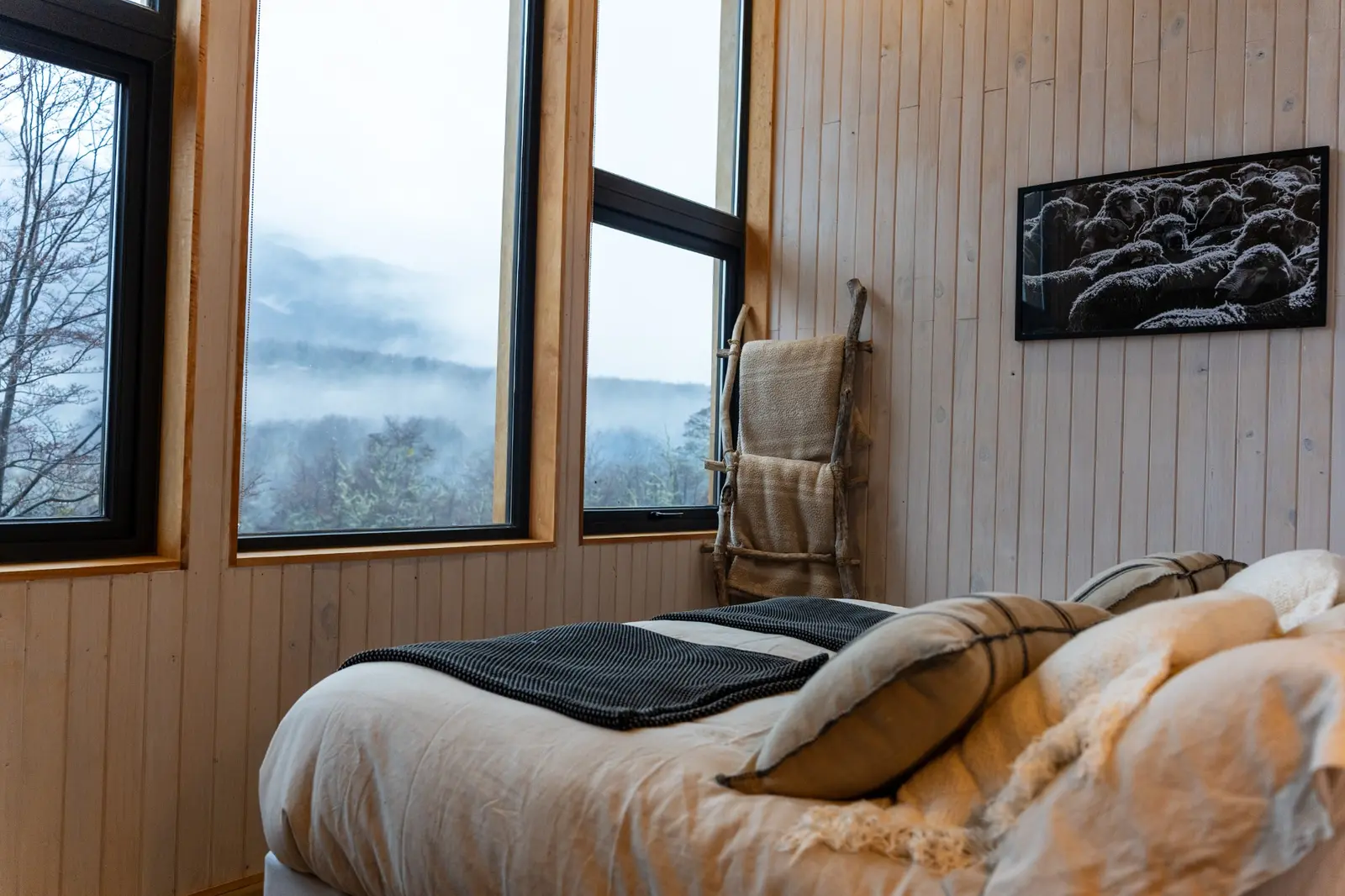 Suite del lodge con vista al bosque patagónico